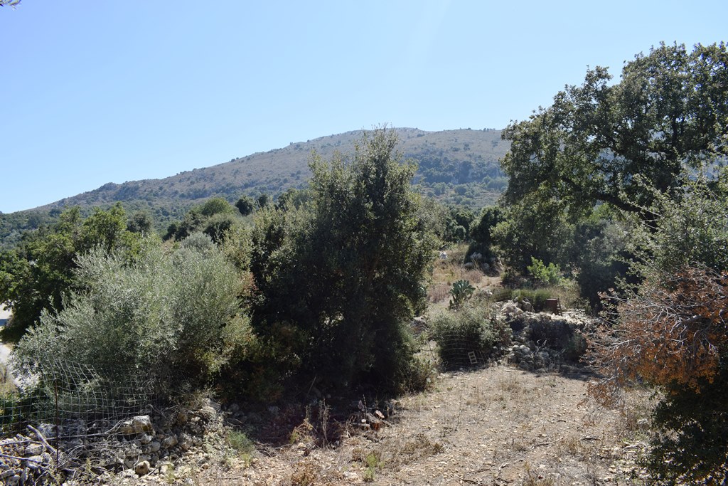 Terrain à Héraklion, Grèce, 11 000 m² - image 7