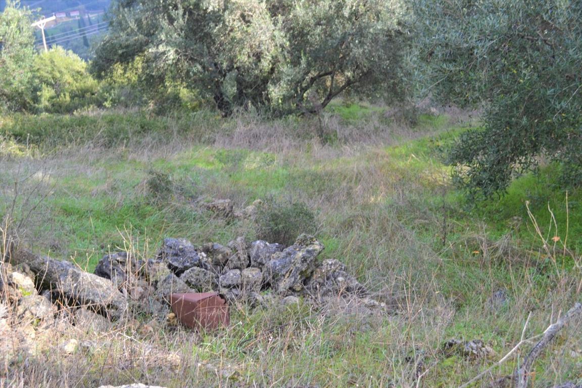 Land in Corfu, Greece, 4 420 m² - picture 7