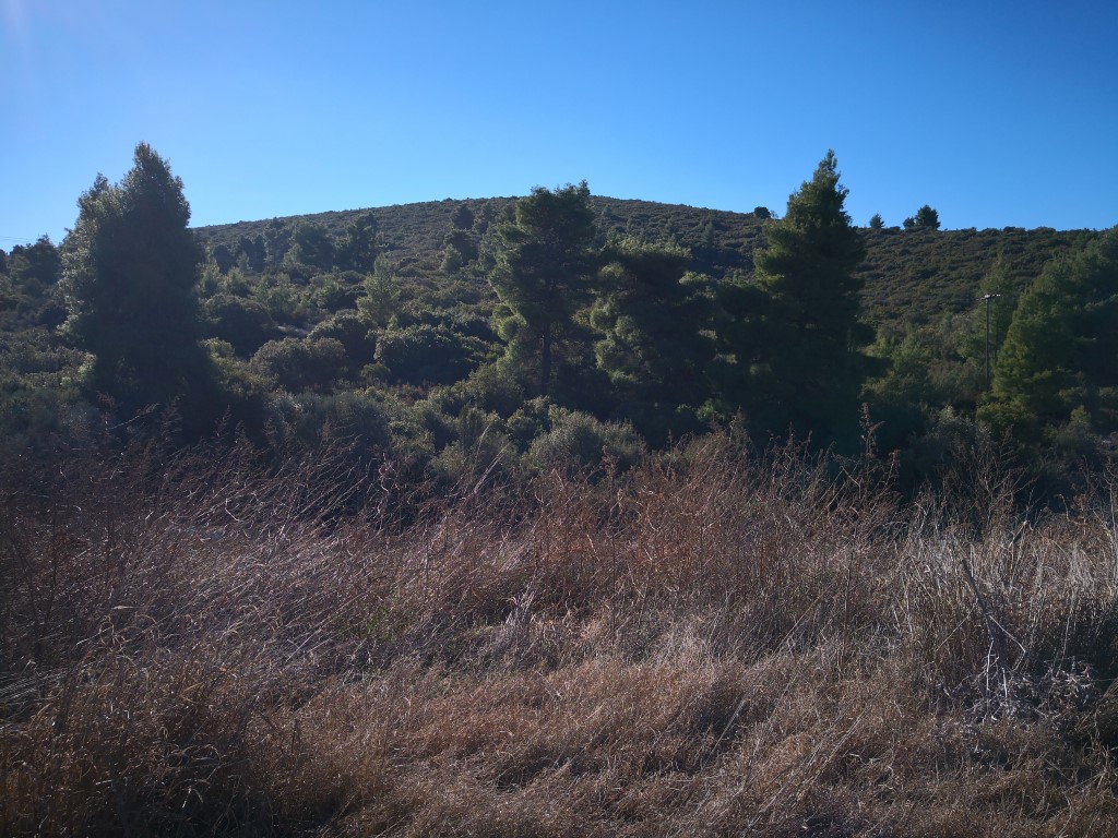 Grundstück in Sithonia, Griechenland, 12 000 m² - Foto 7