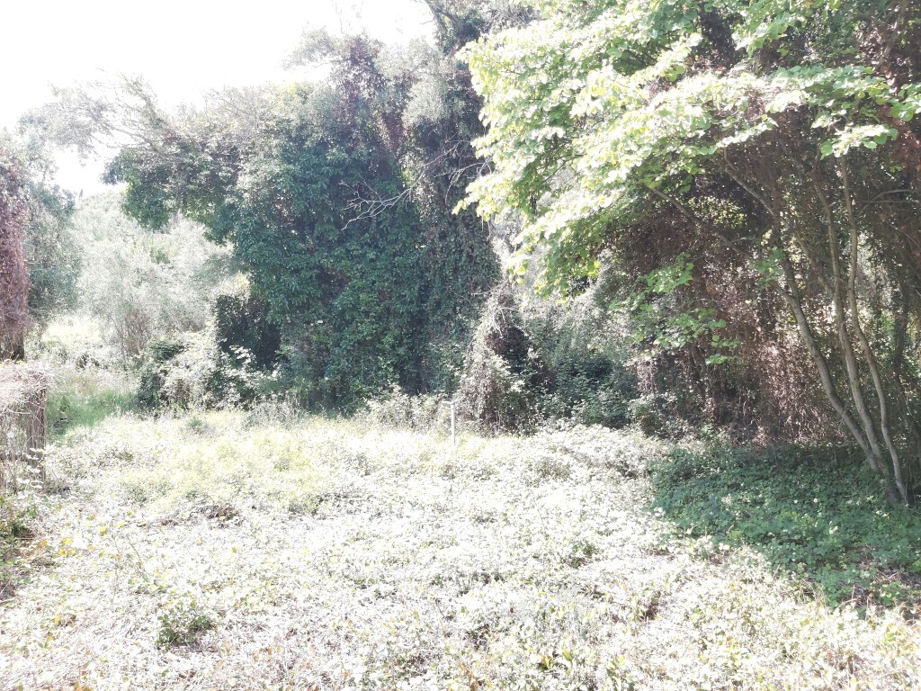 Land in Corfu, Greece, 700 m² - picture 7