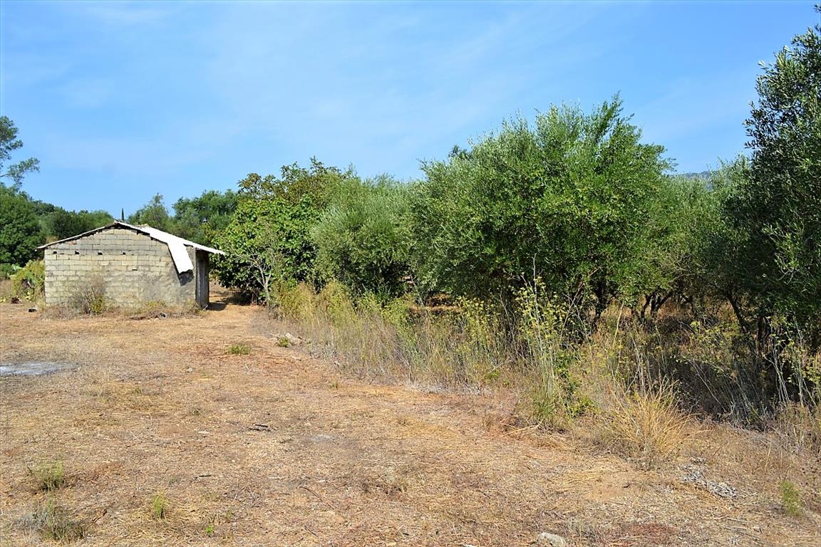 Terreno a Corfù, Grecia, 30 000 m2 - foto 7