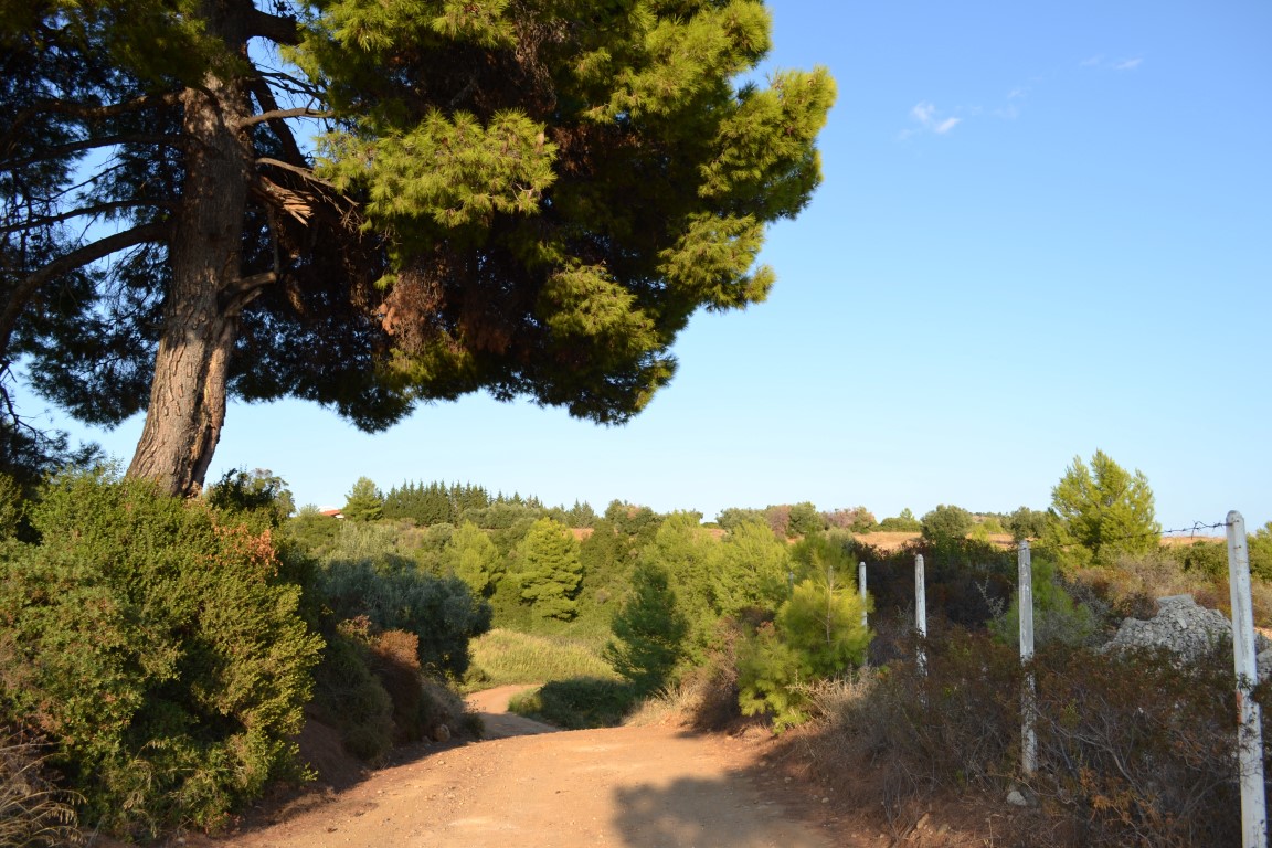 Land in Kassandra, Greece, 6 616 m² - picture 7