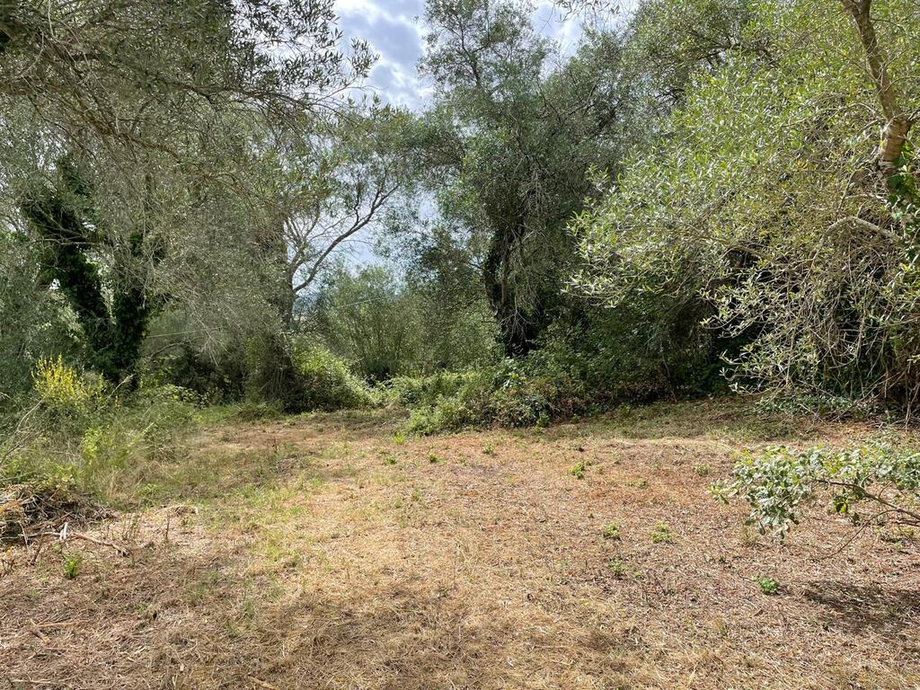 Grundstück in Korfu, Griechenland, 5 020 m² - Foto 7