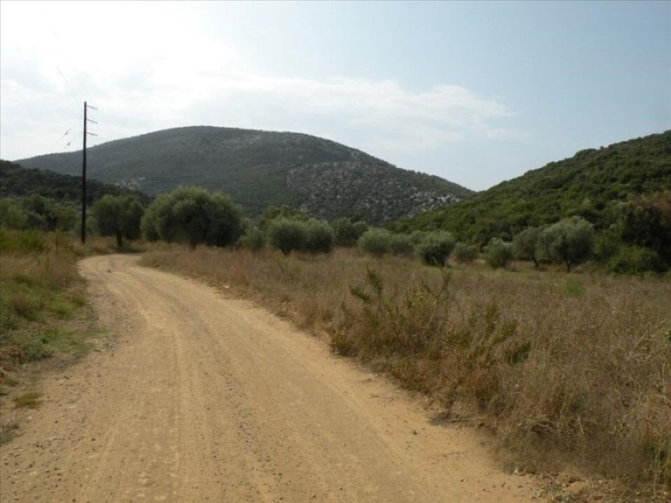 Land in Sithonia, Greece, 7 500 m² - picture 7