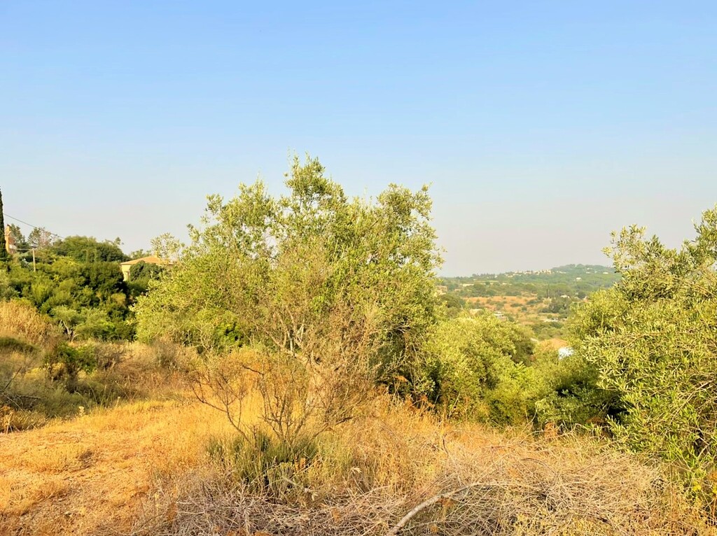 Grundstück in Korfu, Griechenland, 21 000 m² - Foto 7
