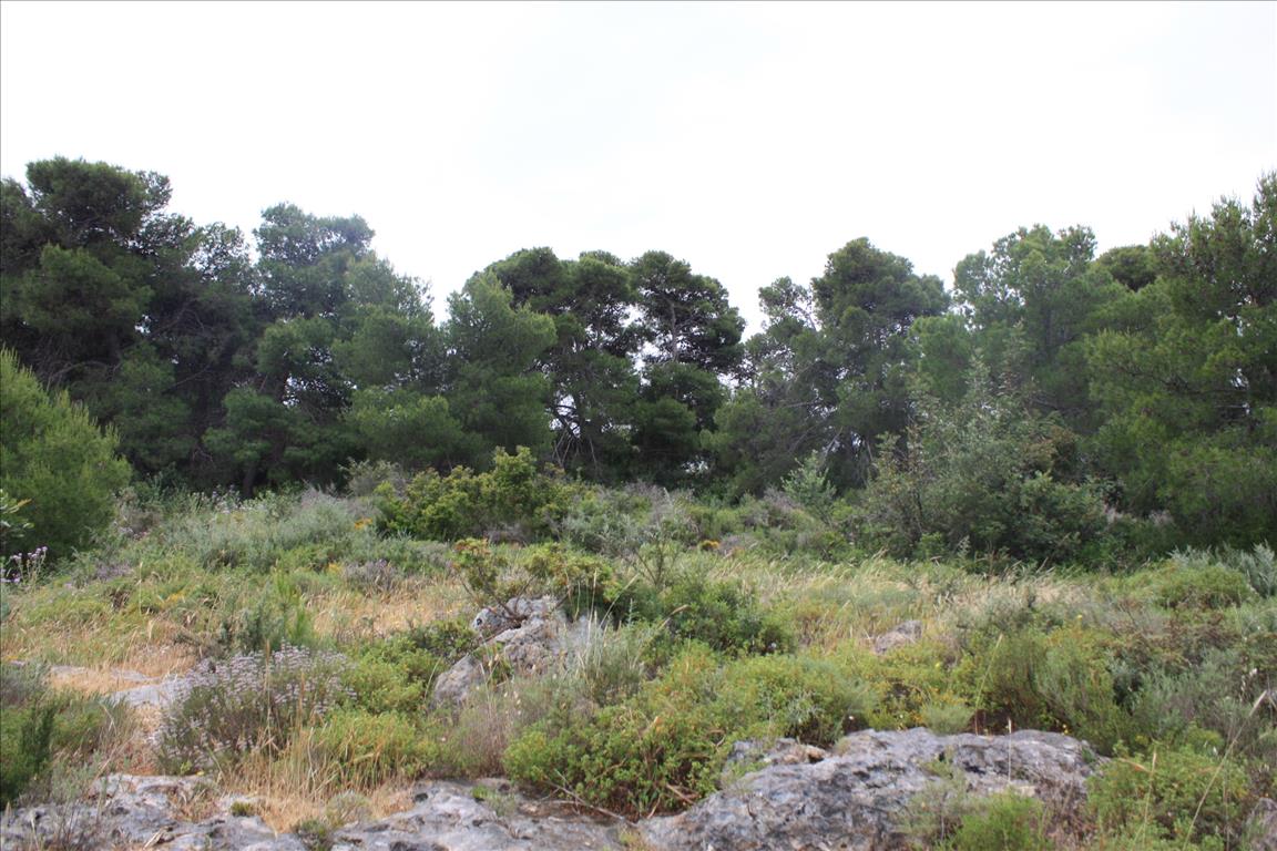 Terreno en Heraclión, Grecia, 5 900 m² - imagen 7