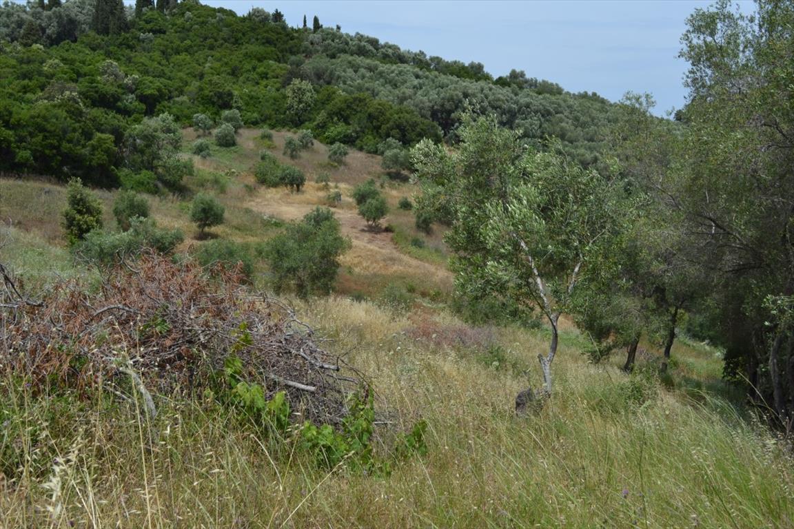 Terreno en Corfú, Grecia, 12 000 m² - imagen 7