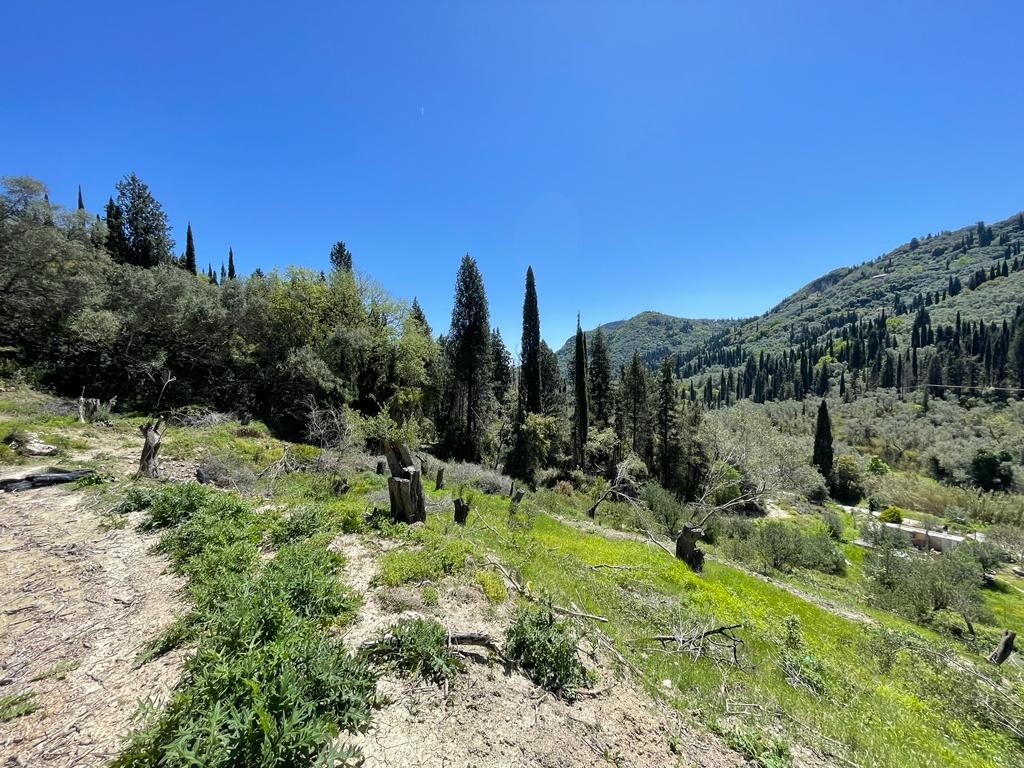 Terreno en Corfú, Grecia, 8 500 m² - imagen 7