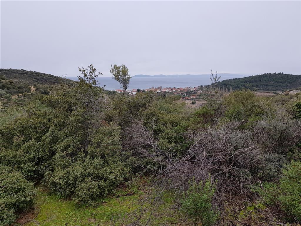 Grundstück in Sithonia, Griechenland, 12 500 m² - Foto 7