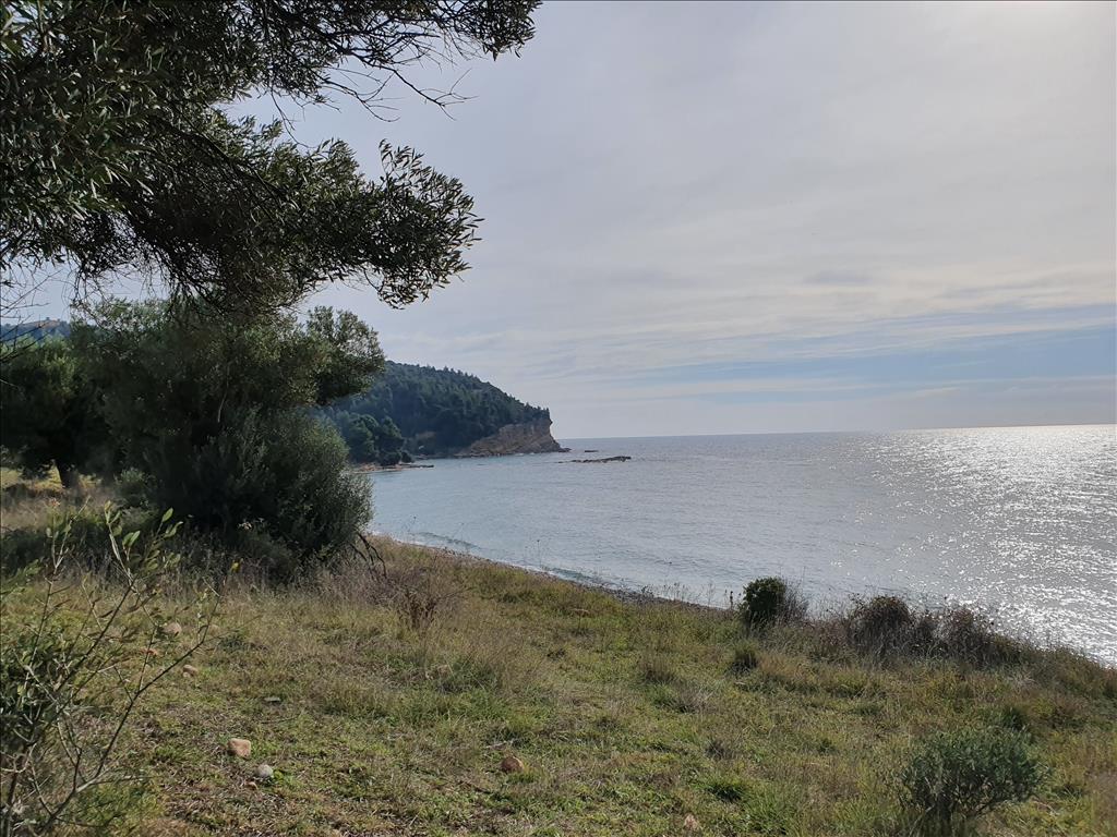 Terreno a Kassandra, Grecia, 10 000 m2 - foto 7