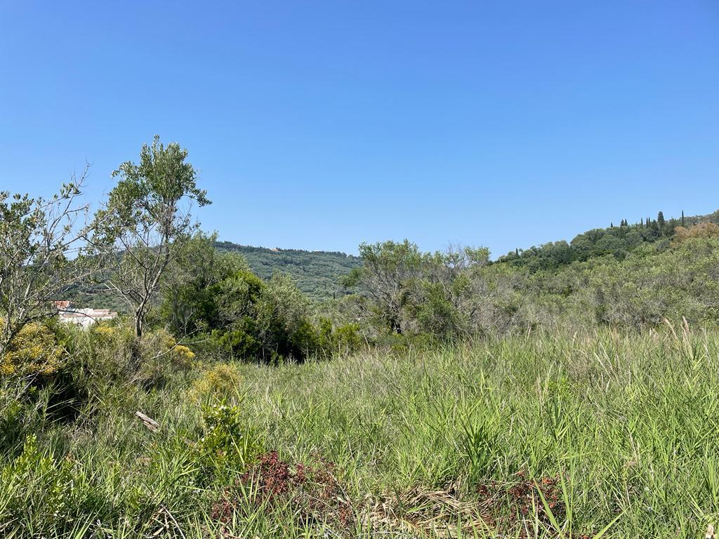 Land in Corfu, Greece, 10 025 m² - picture 7