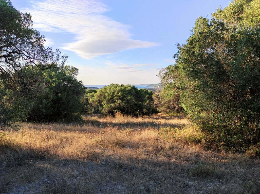 Land in Kassandra, Greece, 5 500 m² - picture 7