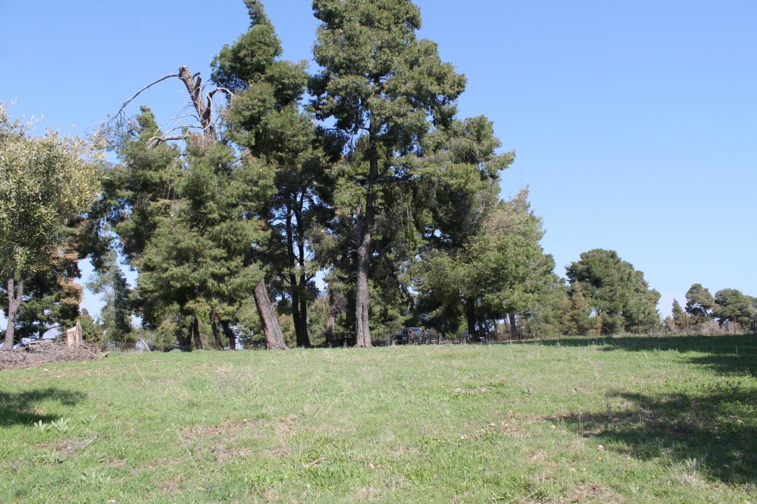 Terreno a Kassandra, Grecia, 6 400 m2 - foto 7