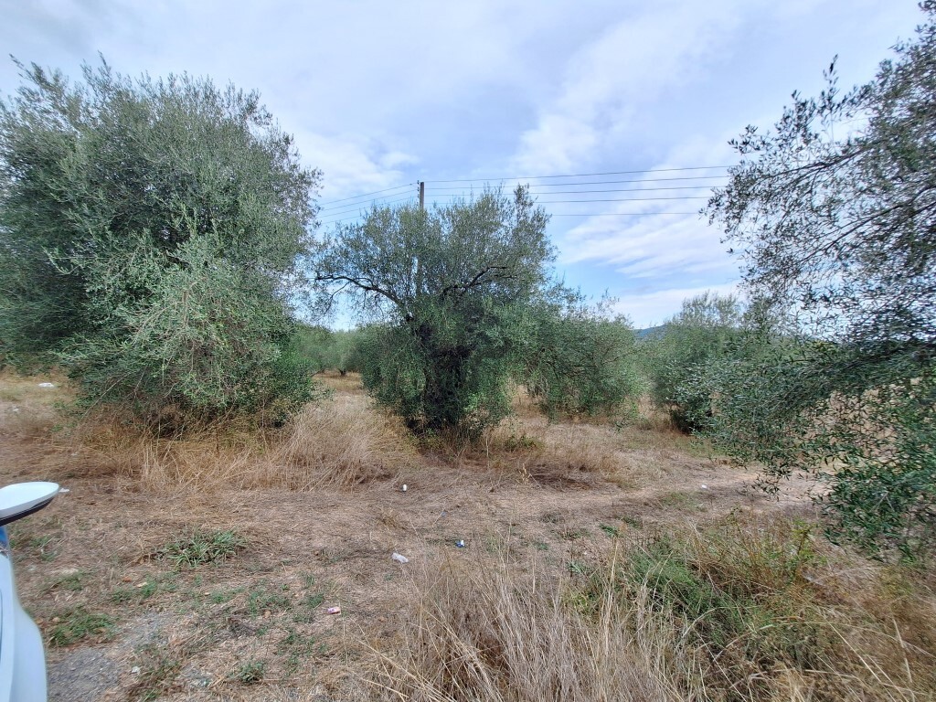 Land in Corfu, Greece, 5 500 m² - picture 7