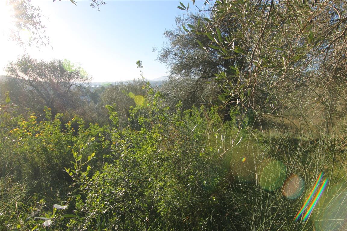 Terreno en Corfú, Grecia, 4 131 m² - imagen 7