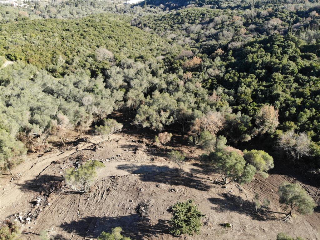 Terrain à Corfou, Grèce, 5 000 m² - image 7