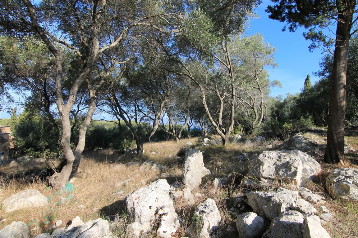 Land in Corfu, Greece, 4 300 m² - picture 7