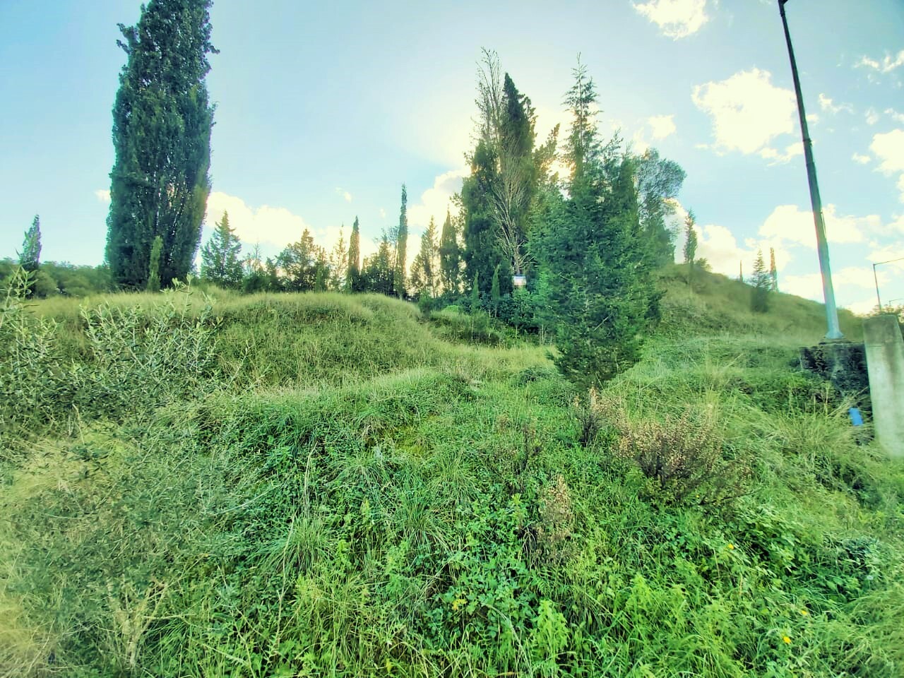 Terreno a Corfù, Grecia, 5 500 m2 - foto 7