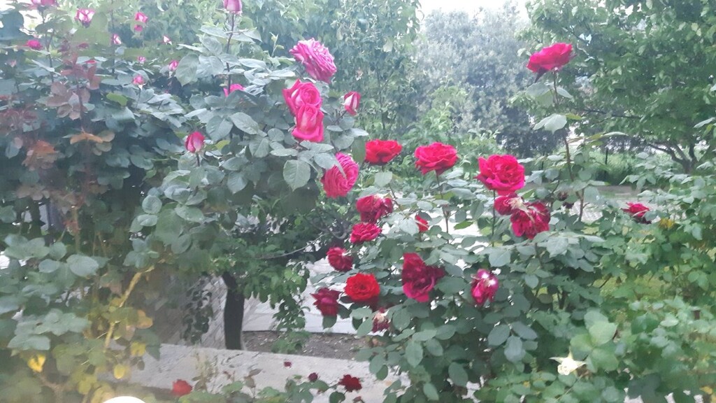 Casa en Salónica, Grecia, 230 m² - imagen 8