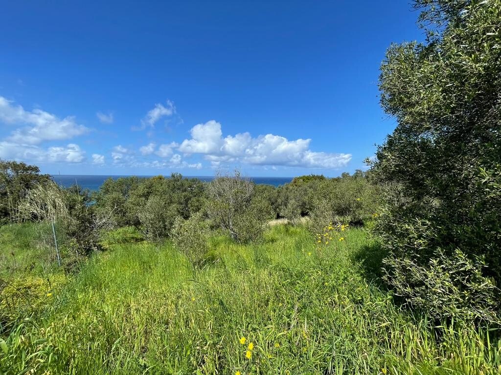 Terreno a Corfù, Grecia, 9 150 m2 - foto 8