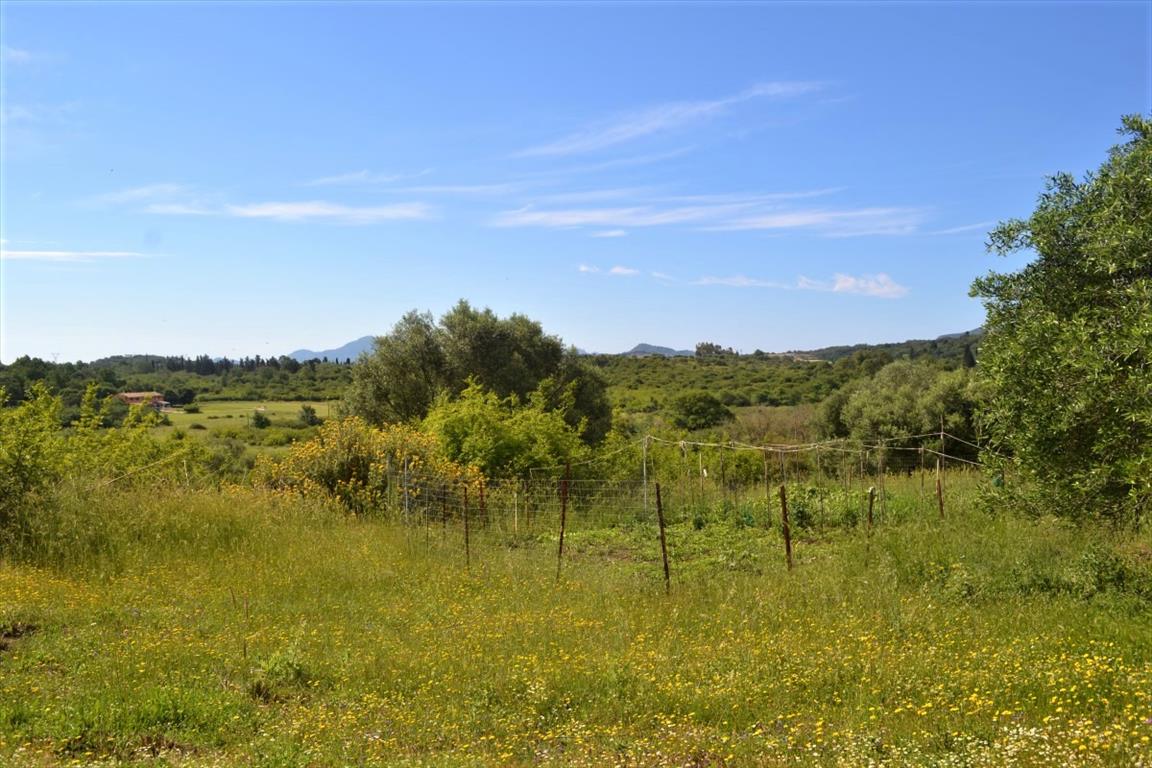 Land in Corfu, Greece, 12 044 m² - picture 8