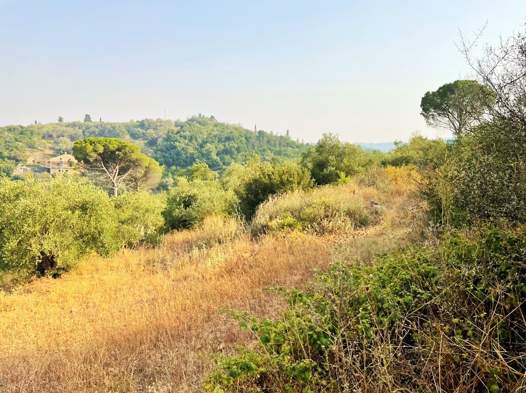 Grundstück in Korfu, Griechenland, 21 000 m² - Foto 8