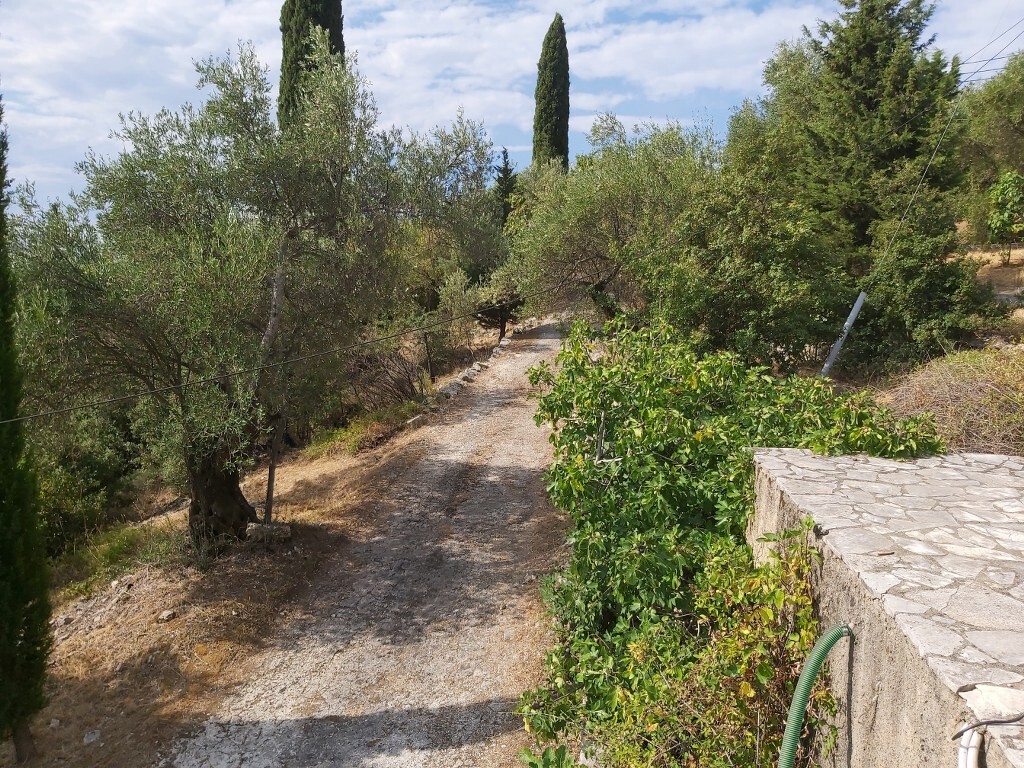 Land in Corfu, Greece, 18 000 m² - picture 8