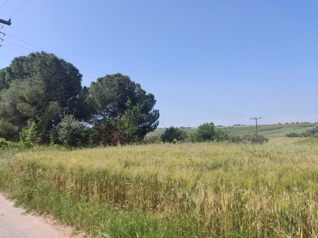 Terrain à Thessalonique, Grèce, 4 800 m² - image 8