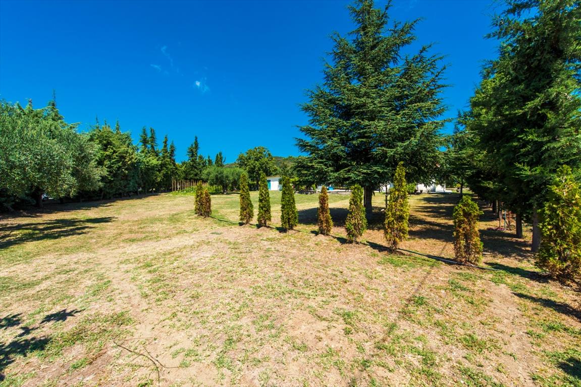 Terreno a Kassandra, Grecia, 2 500 m2 - foto 8