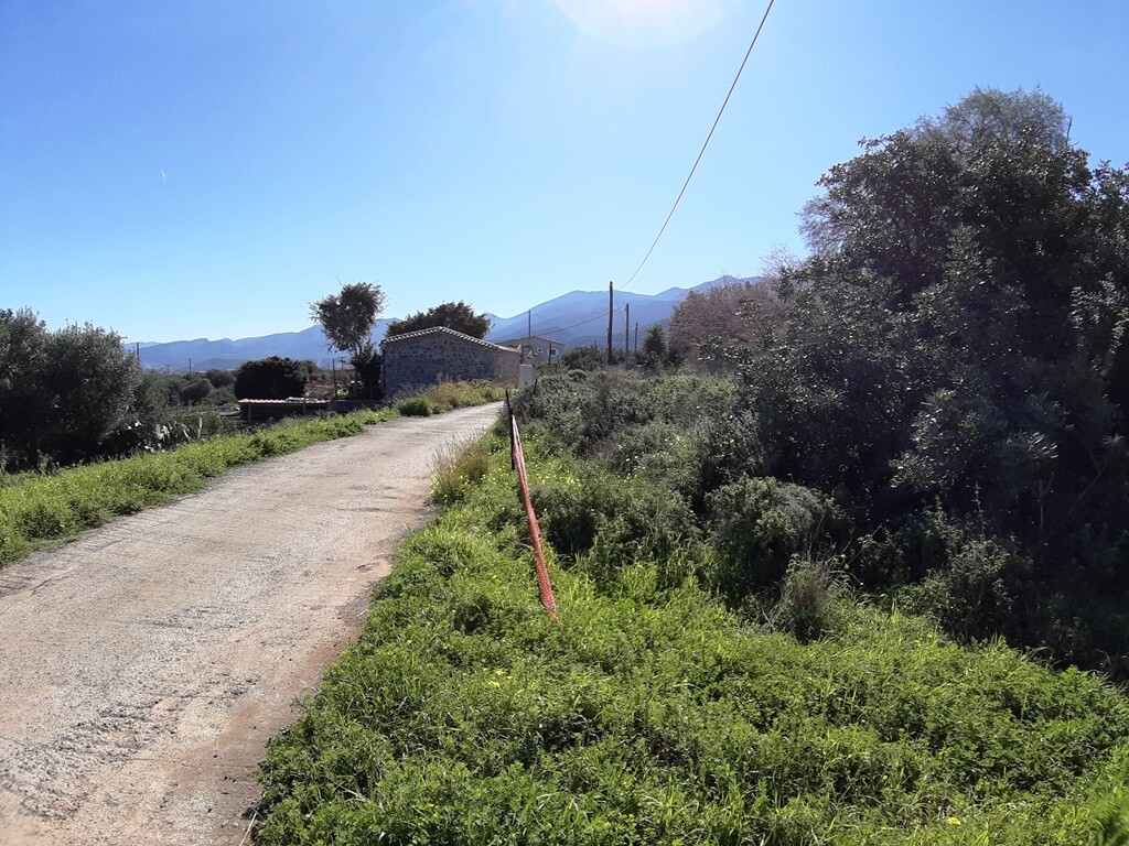 Terrain à Héraklion, Grèce, 24 000 m² - image 8