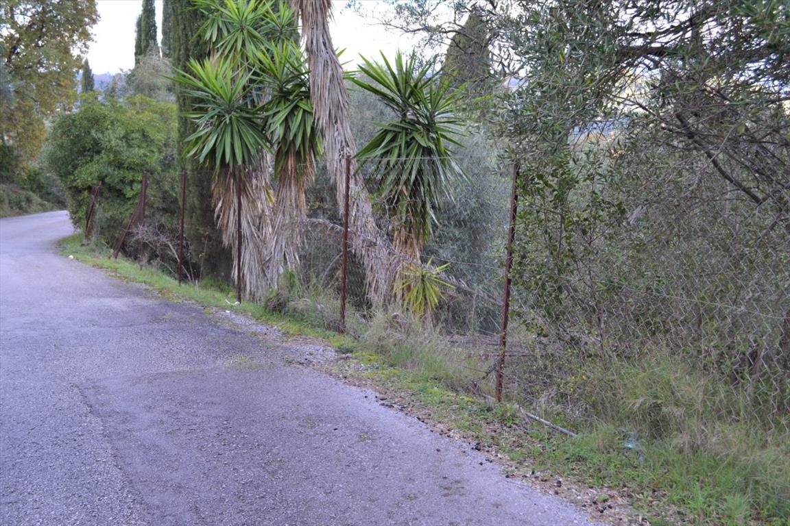 Terrain à Corfou, Grèce, 5 500 m² - image 8
