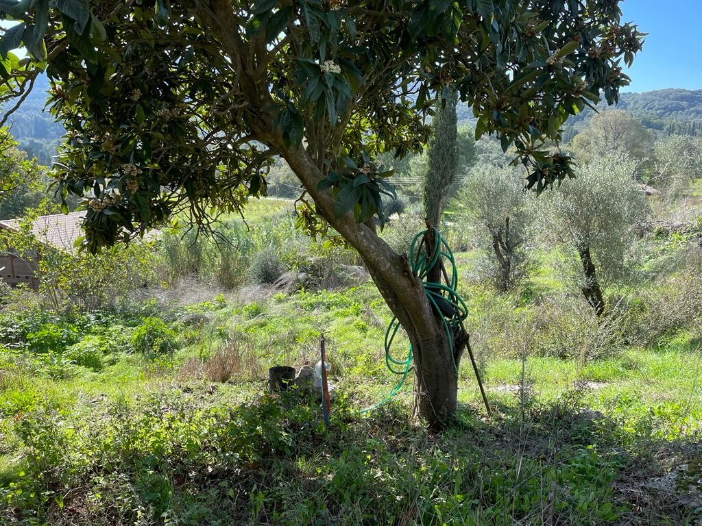 Terrain à Corfou, Grèce, 5 500 m² - image 8