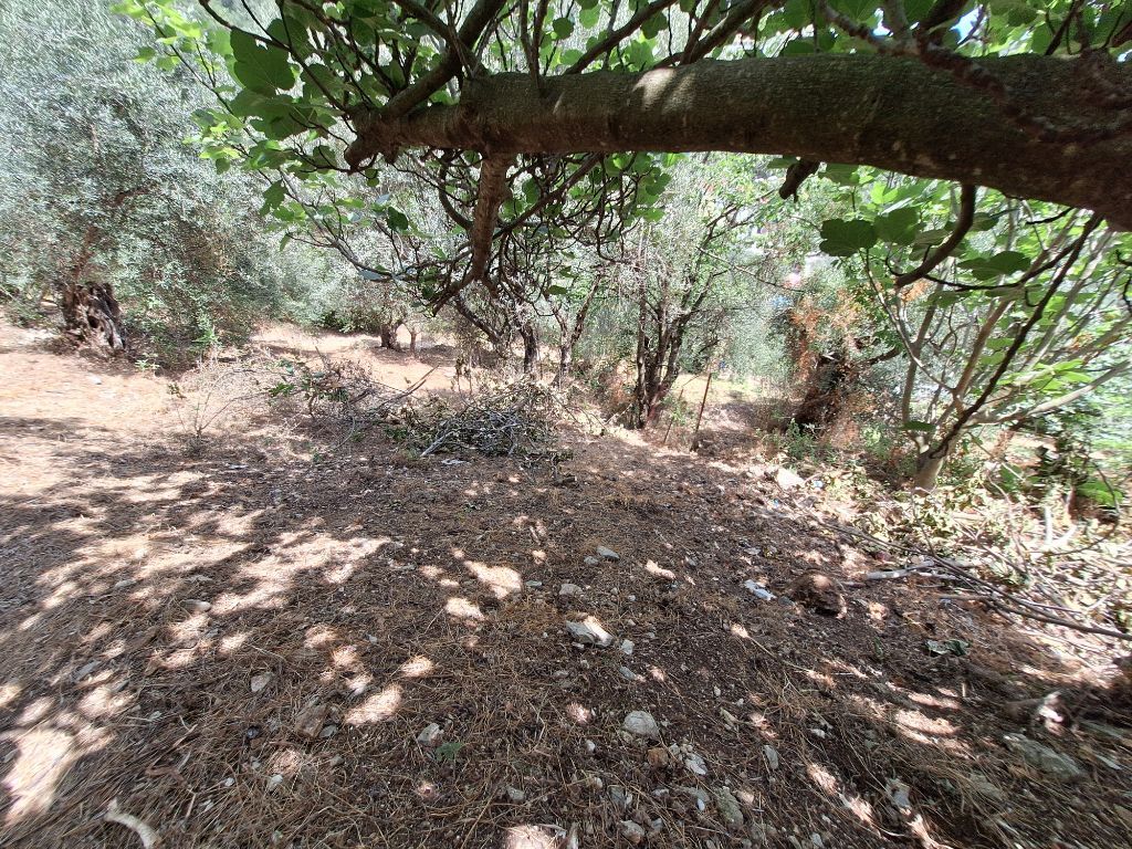 Terrain à Corfou, Grèce, 2 100 m² - image 8