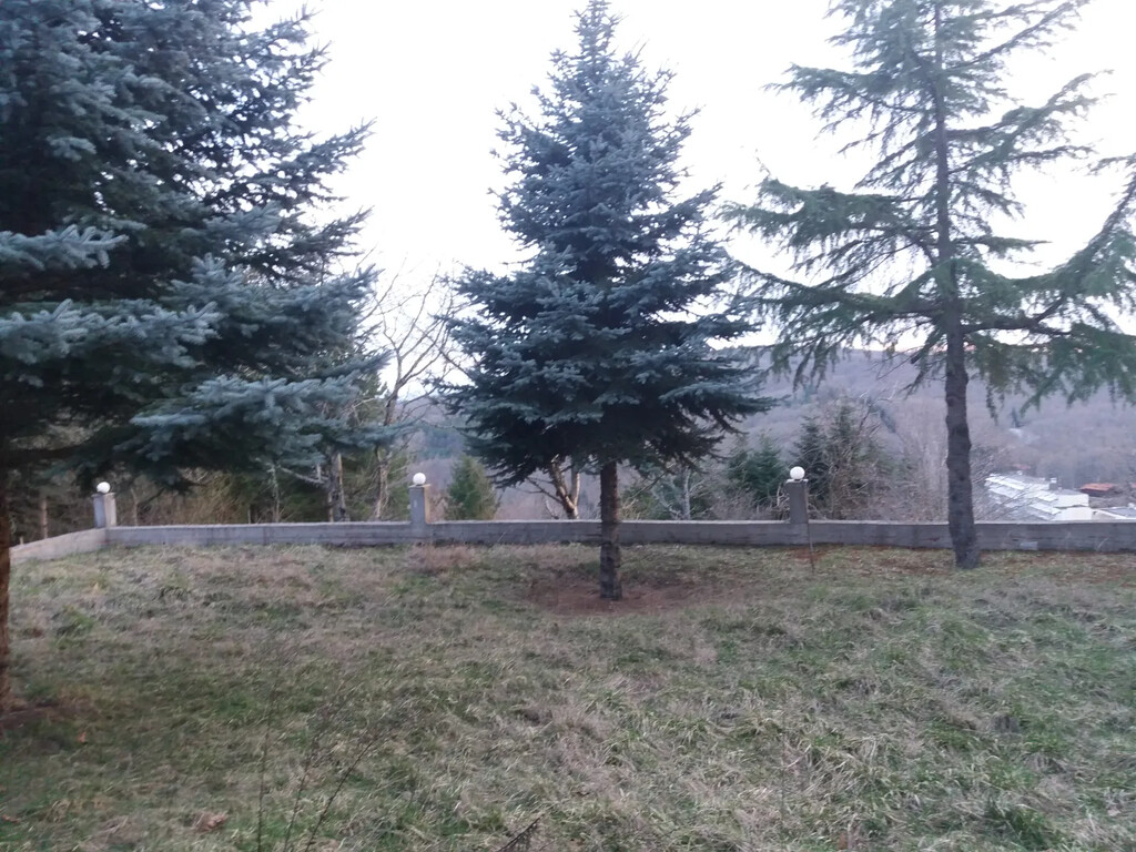 Maison en Chalcidique, Grèce, 140 m² - image 8