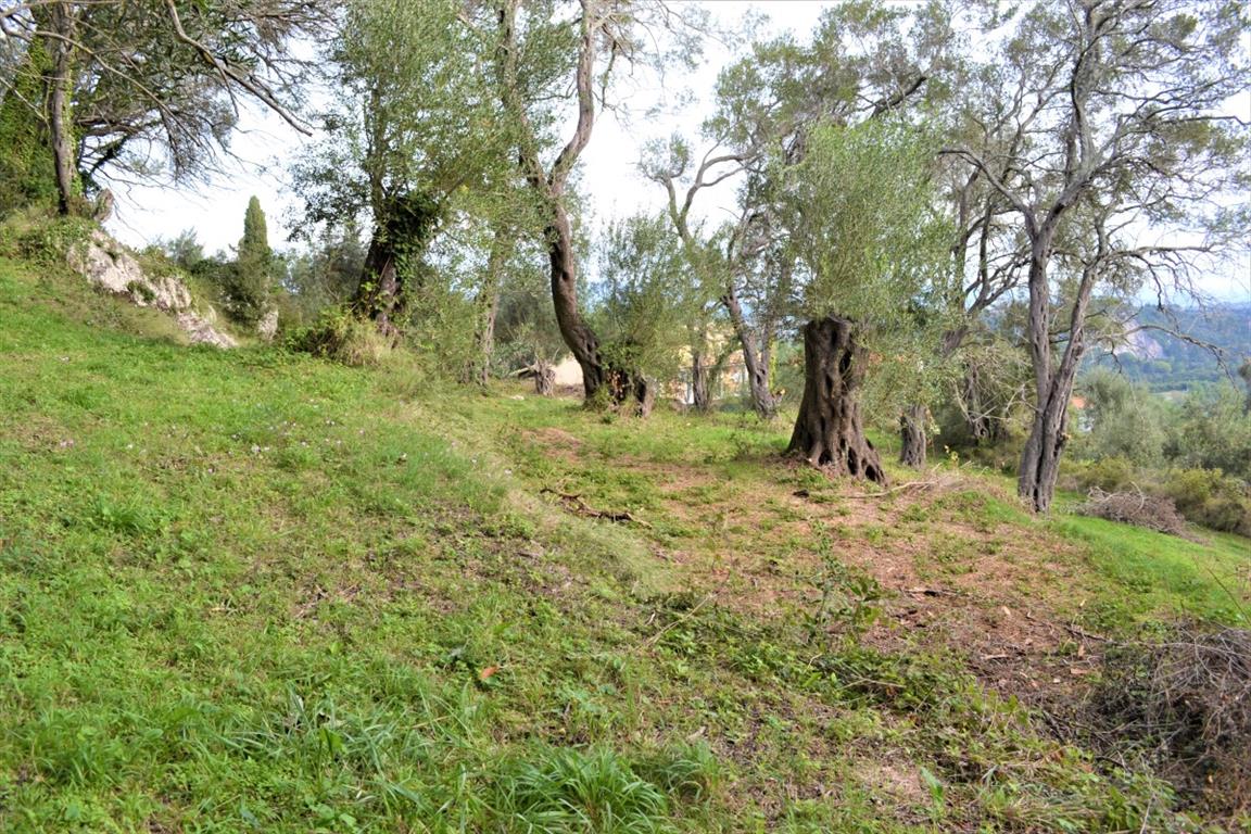 Terreno en Corfú, Grecia, 3 136 m² - imagen 8