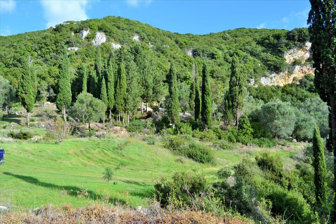 Terrain à Corfou, Grèce, 15 000 m² - image 8