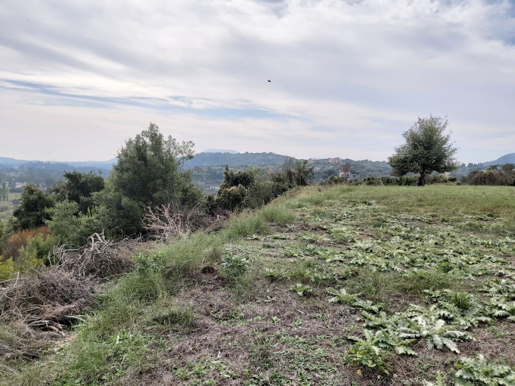 Land in Corfu, Greece, 7 421 m² - picture 8