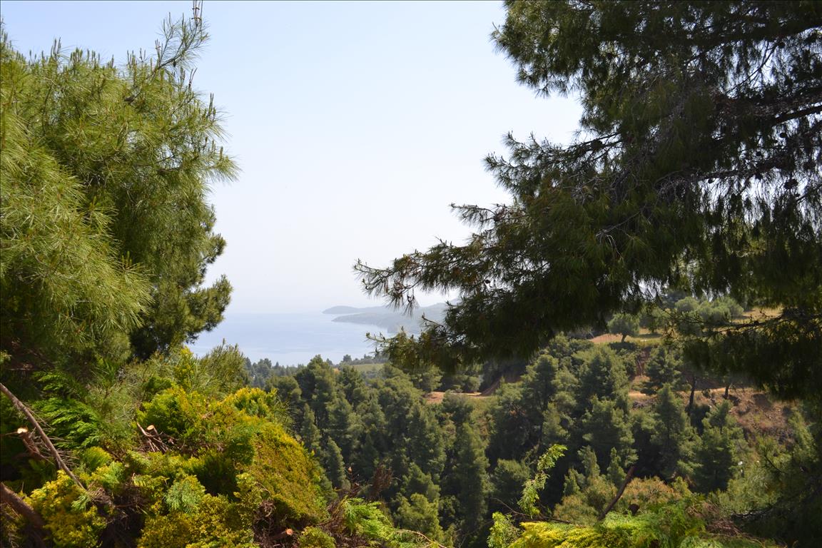 Grundstück in Kassandra, Griechenland, 4 650 m² - Foto 8