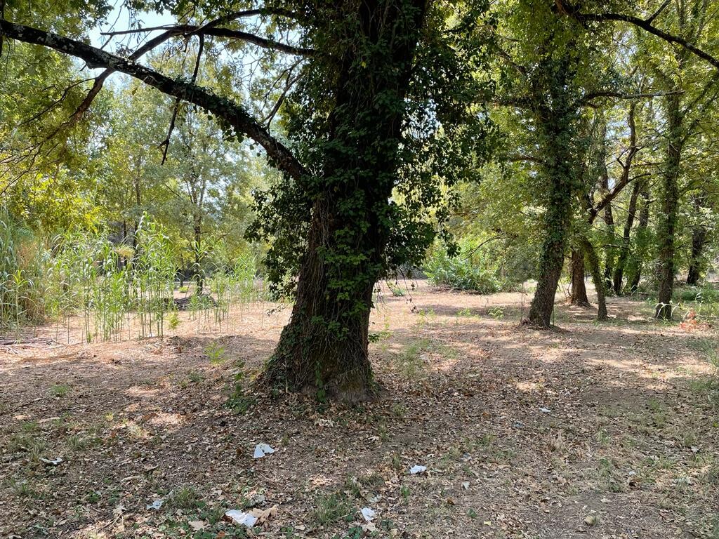 Land in Corfu, Greece, 4 850 m² - picture 8