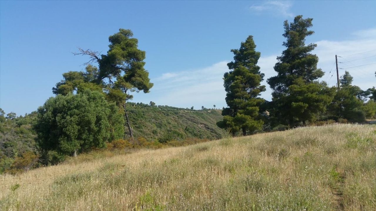 Land in Kassandra, Greece, 4 062 m² - picture 8