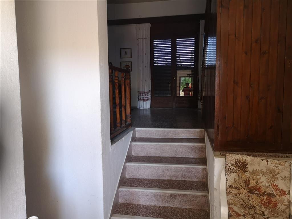 Maisonette en Kassandra, Grecia, 160 m² - imagen 8