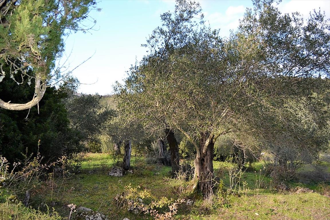 Terreno a Corfù, Grecia, 20 000 m2 - foto 8