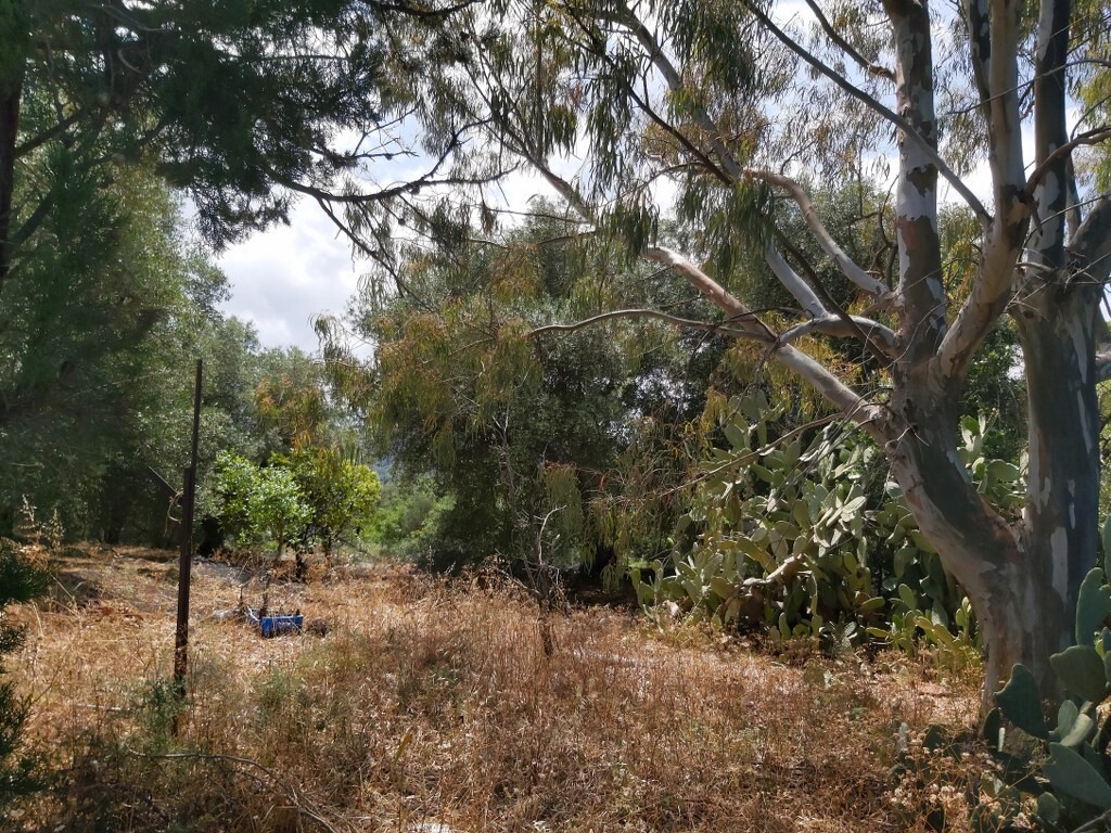 Grundstück in Korfu, Griechenland, 7 200 m² - Foto 8