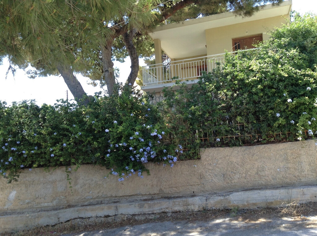 House in Attica, Greece, 100 m² - picture 8