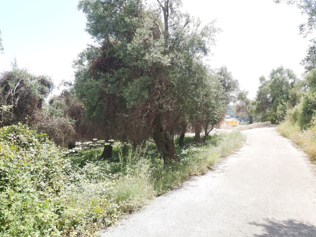 Land in Corfu, Greece, 700 m² - picture 8