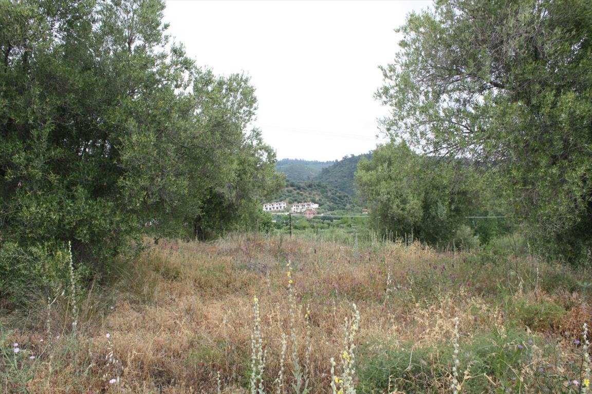 Terreno en Sitonia, Grecia, 6 000 m² - imagen 8