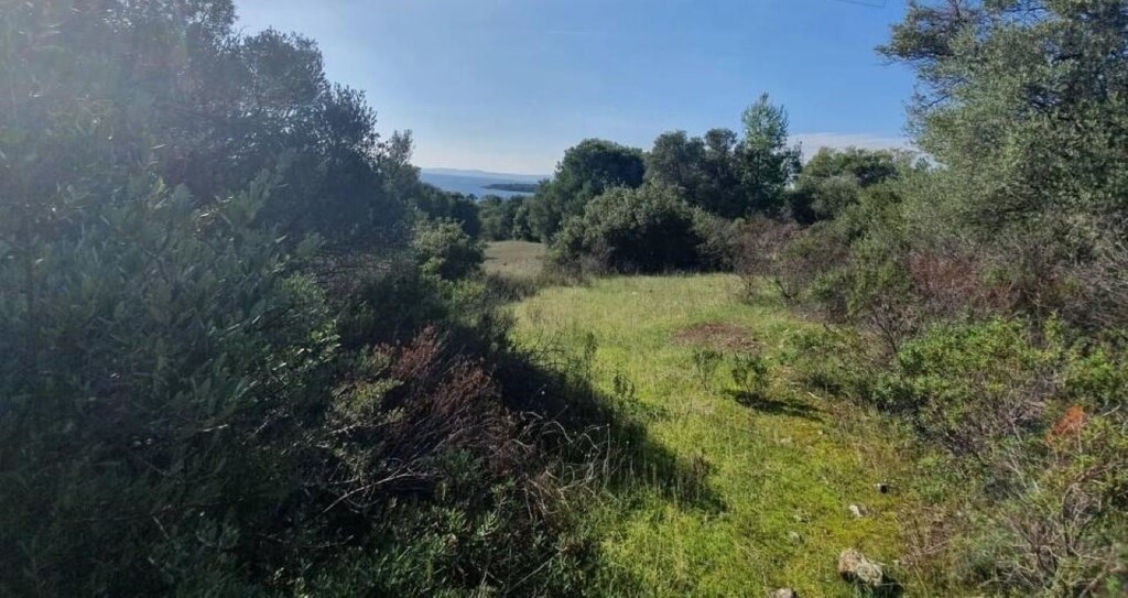 Land in Sithonia, Greece, 23 000 m² - picture 8