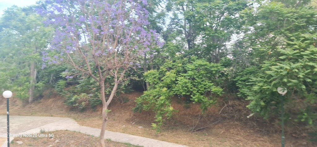 Flat in Athens, Greece, 105 m² - picture 8