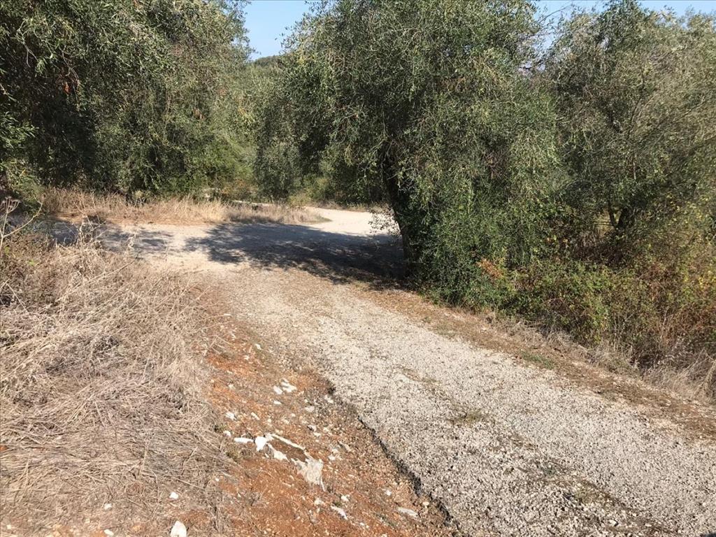 Grundstück in Korfu, Griechenland, 4 000 m² - Foto 8