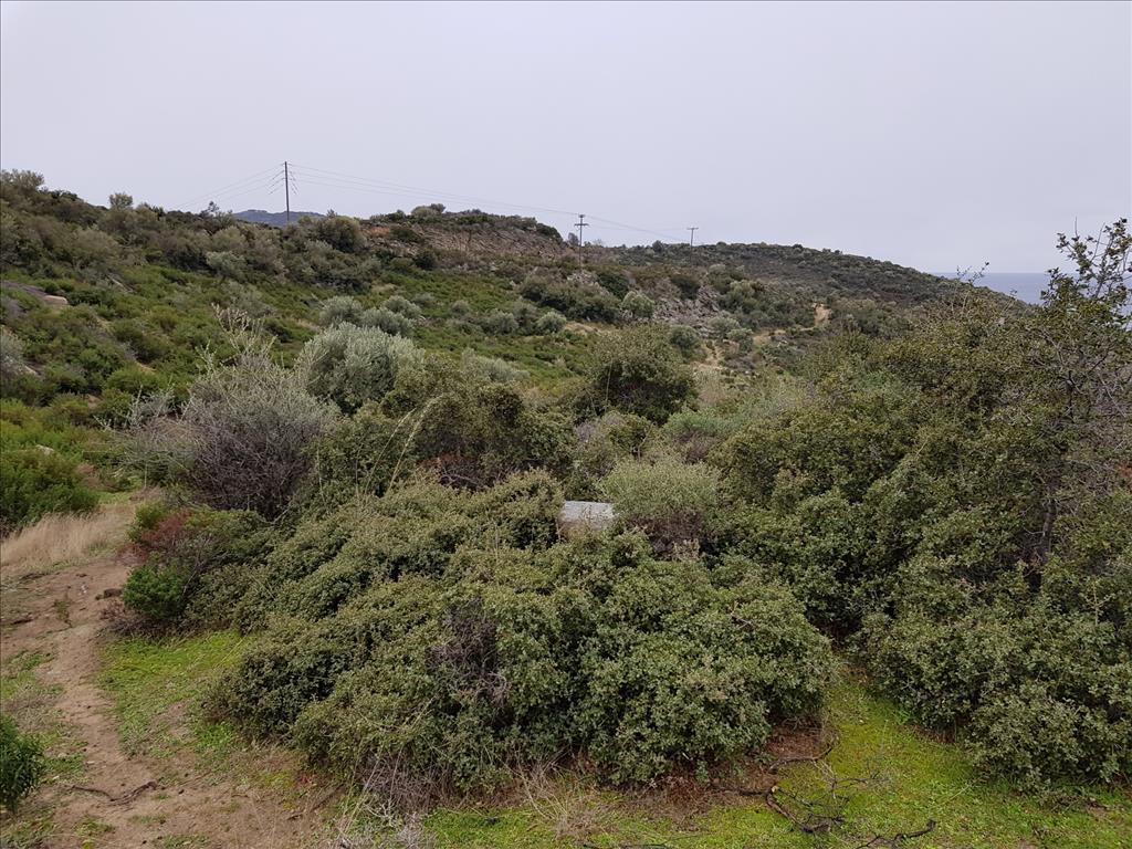 Grundstück in Sithonia, Griechenland, 12 500 m² - Foto 8